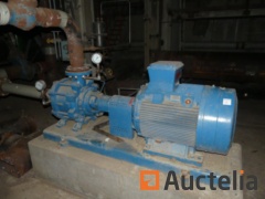 Pompe à eau industrielle à haute pression  Sterling MSLA10002/252